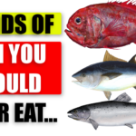 The 7 Most Toxic Fish You Should Avoid To Protect Your Health