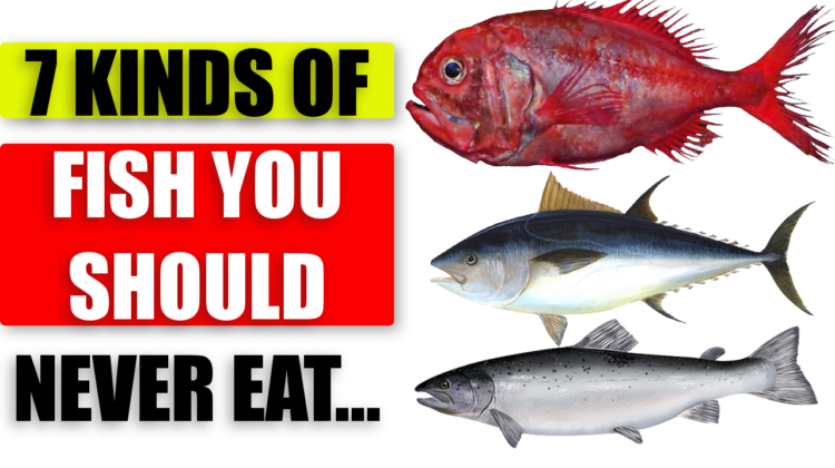 The 7 Most Toxic Fish You Should Avoid To Protect Your Health