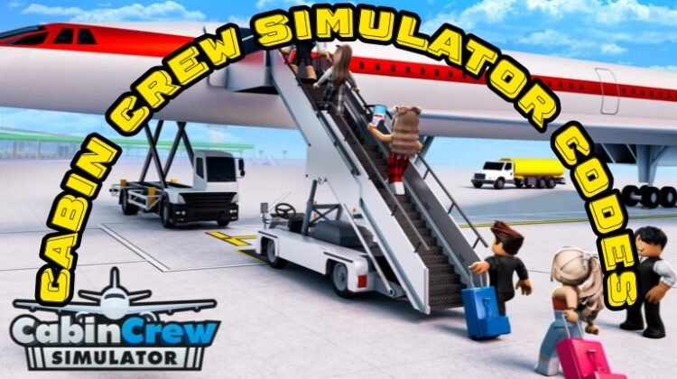 Cabin Crew Simulator Codes