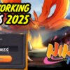 Ninja Time Codes February 2025