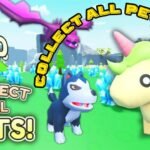 Collect All Pets Codes