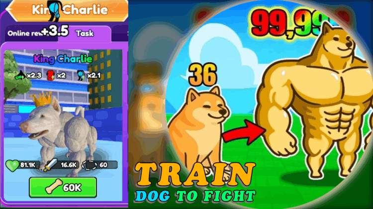 Train Dog to Fight: King Charlie Event Guide