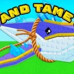 Catch and Tame Codes