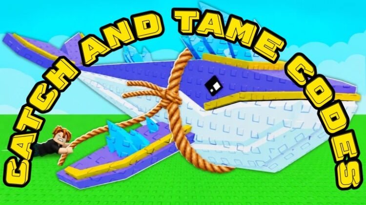 Catch and Tame Codes