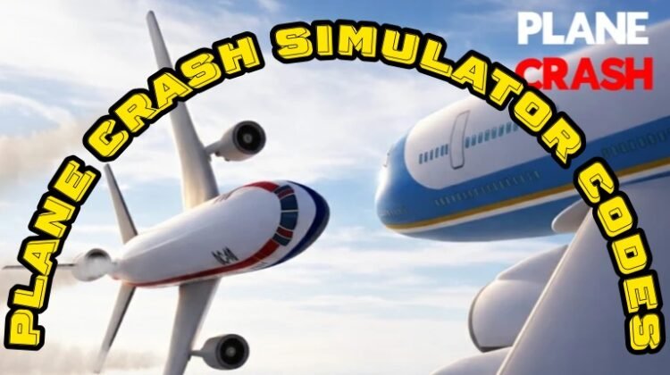 Plane Crash Simulator Codes