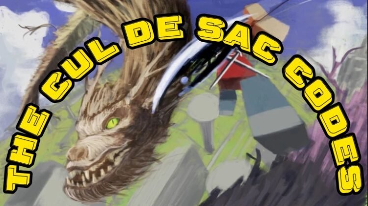 The Cul De Sac Codes