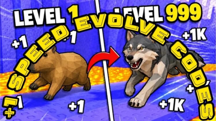 +1 Speed Evolve Codes